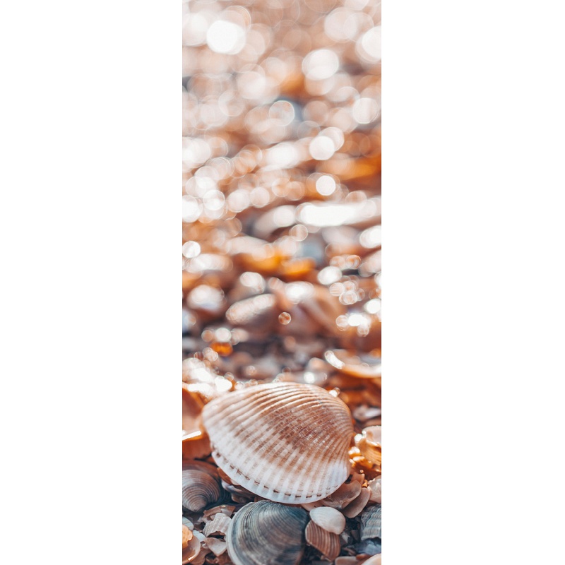 Vinyl vízálló falipanel Shells on the Beach