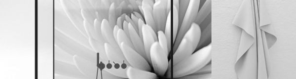Vinyl vízálló falipanel Chrysanthemum Close Up